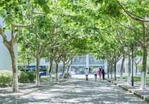 2019年师资队伍